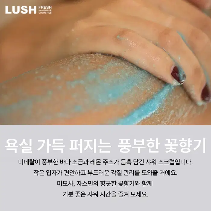 [정품] LUSH 러쉬 아쿠아마리나 250g 대용량 프레쉬클렌저(미개봉)