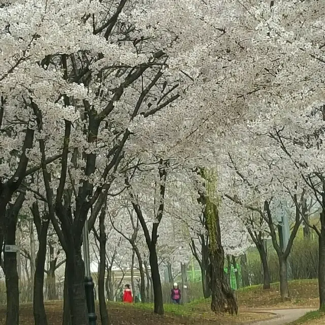 제  상점에  있는  물건 교화요