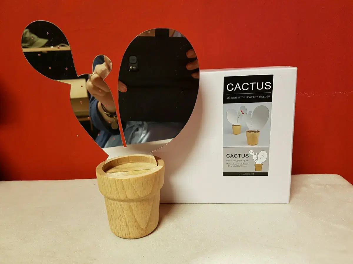 수입 CACTUS WOOD MIRROR & JEWELRY HOLDER