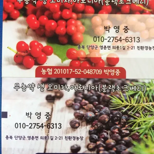 오미자 효소,담금,액기스 판매