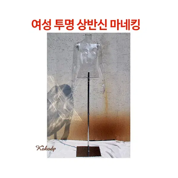 상반신 투명마네킹 촬영마네킹 플라스틱 마네킹 여자 마네킨