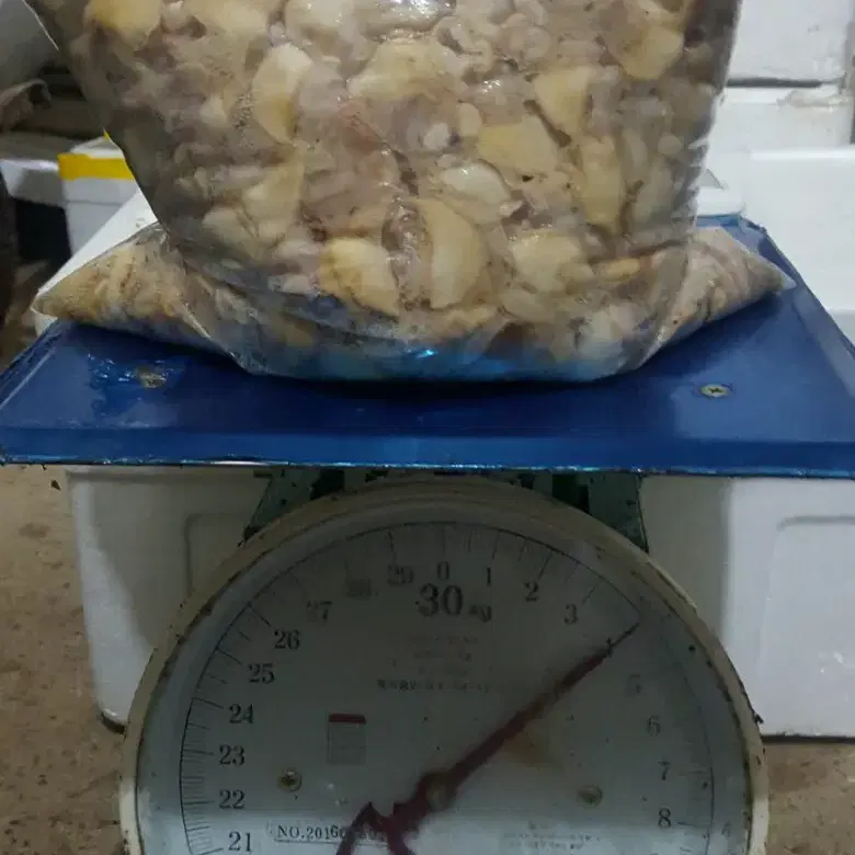 14만원)) 백와 달팽이 순살 4kg