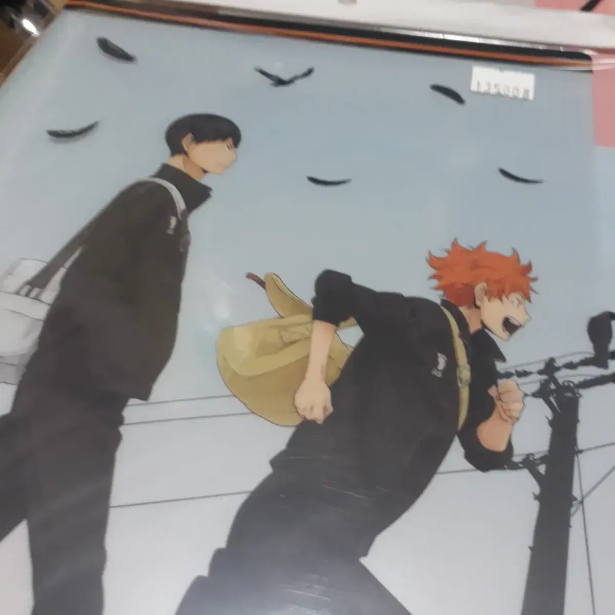 (Price Reduction)Haikyuu Kagehina Official File