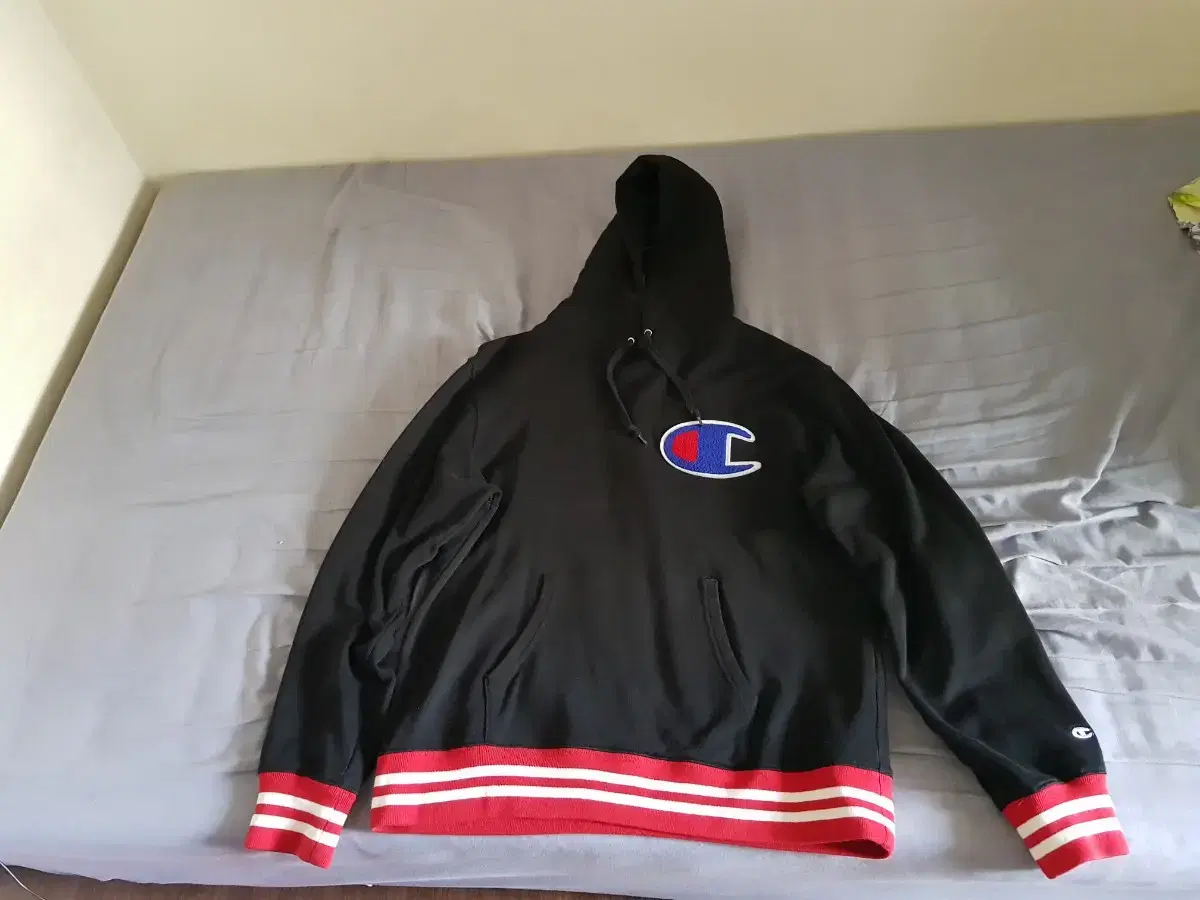 [XL] Champion Hoodie XL