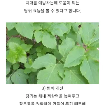 헤모힘 | 브랜드 중고거래 플랫폼, 번개장터