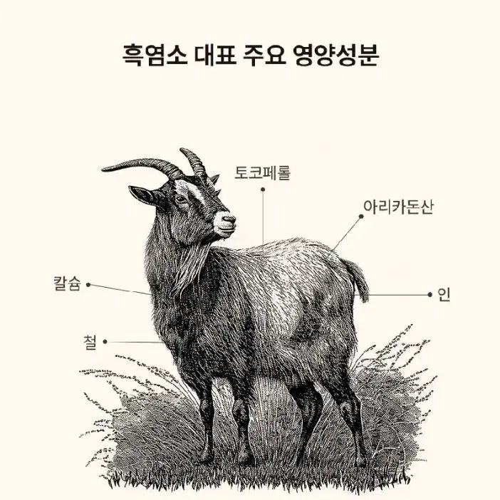 (A)농협 흑염소 70mlx30포 액상파우치 선물세트