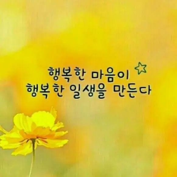 식품및 생필품