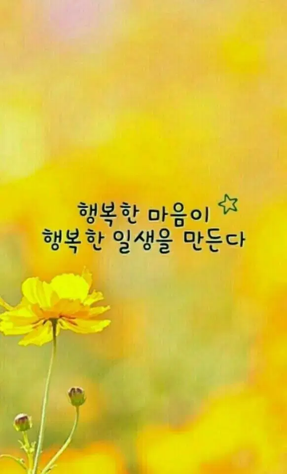 식품및 생필품