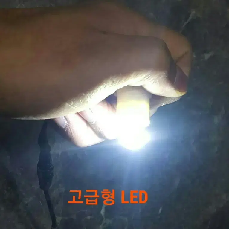 초 고휘도 T10 LED전구