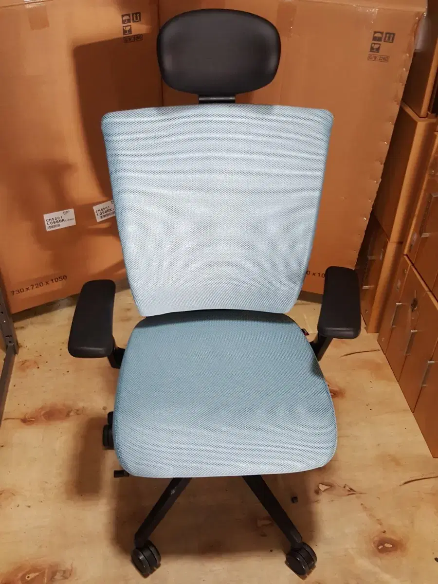 퍼시스 리플 라이 (99) 사진