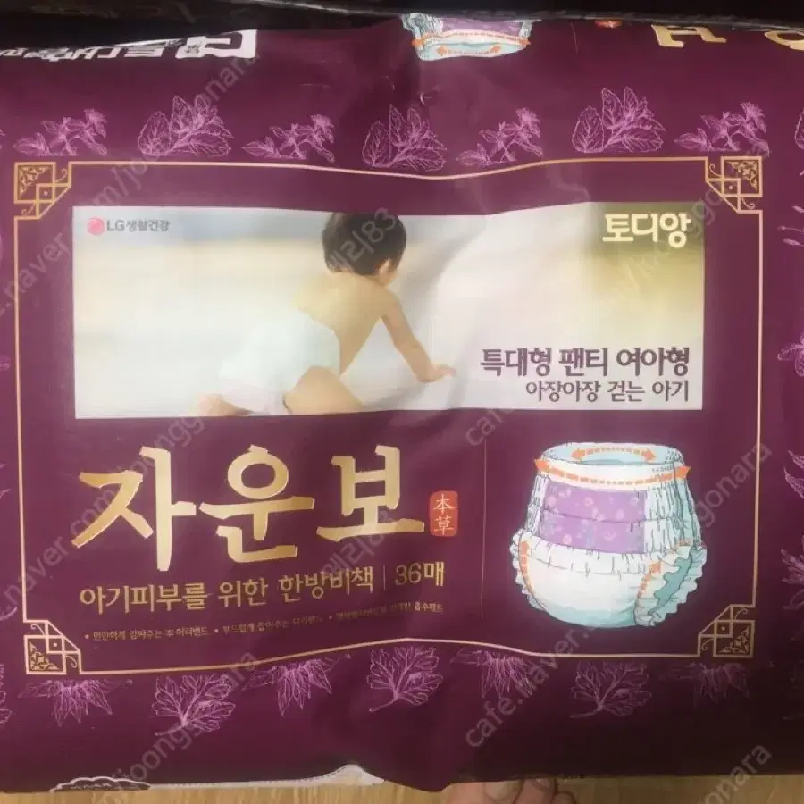 토디앙 자운보 본초 기저귀 새상품 택포