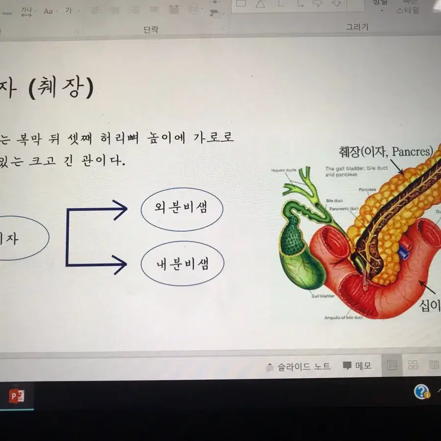 PPT,한글,엑셀,자료조사 등 과제,문서작성 도와드려용