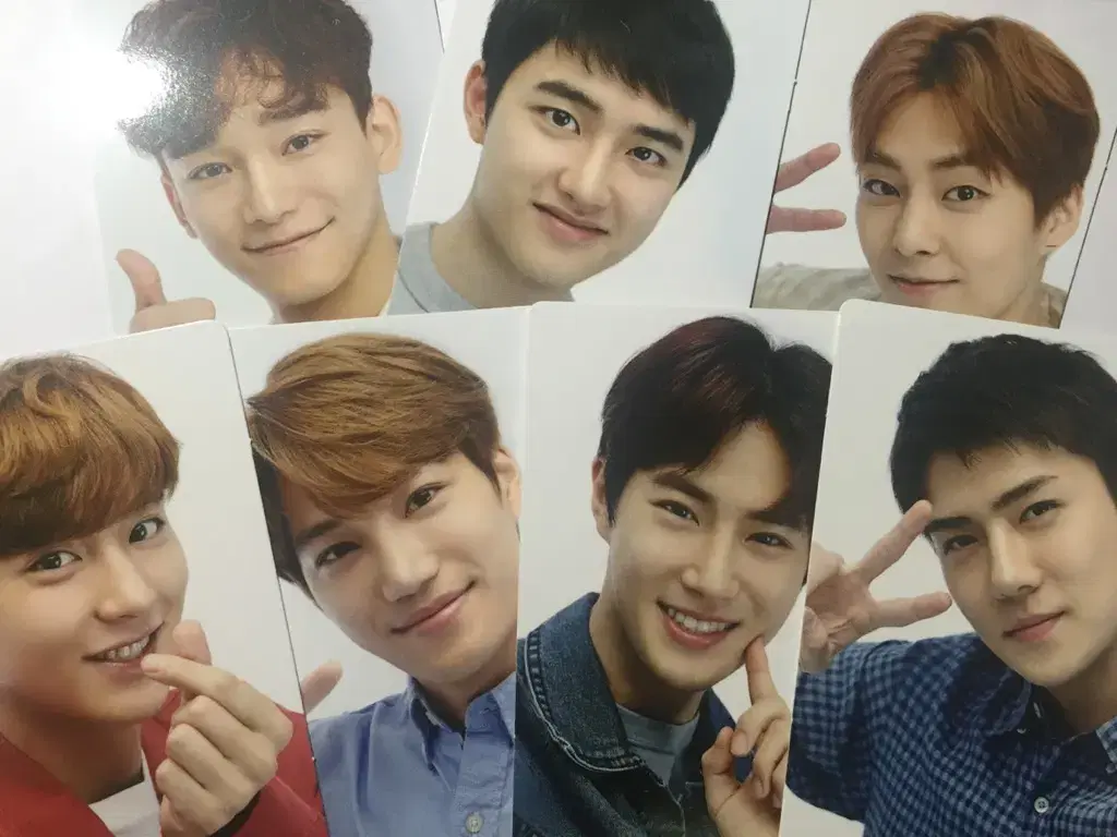 Exo Elysion 20,000 won photocard