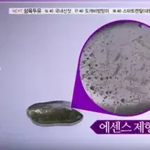 무료배송 녹는실 리프팅 앰플 4병이 1set특가