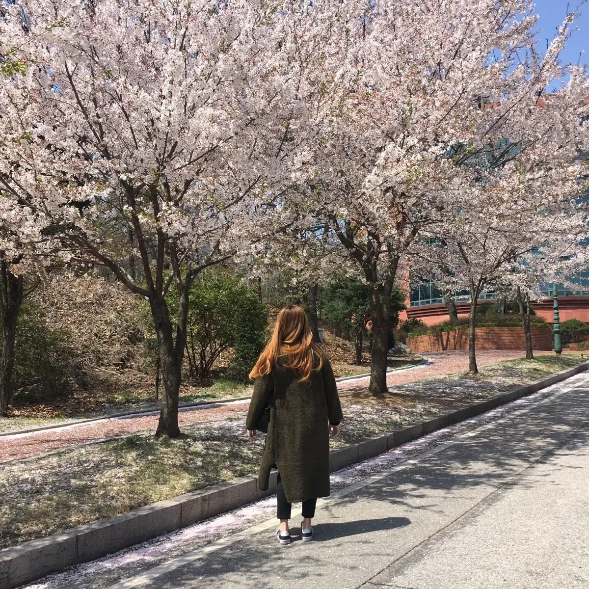 (가격내림)원가 11만 파워 고퀄 울 롱가디건