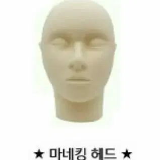 마네킹 헤드 일반형 반영구마네킹 속눈썹마네킹 피부스킨마네킹 마네킹홀더