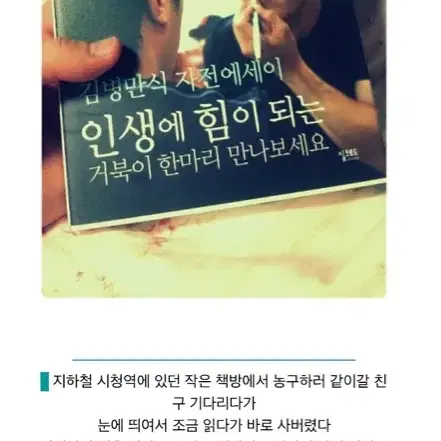 .꿈이있는거북이는지치지않습니다 책