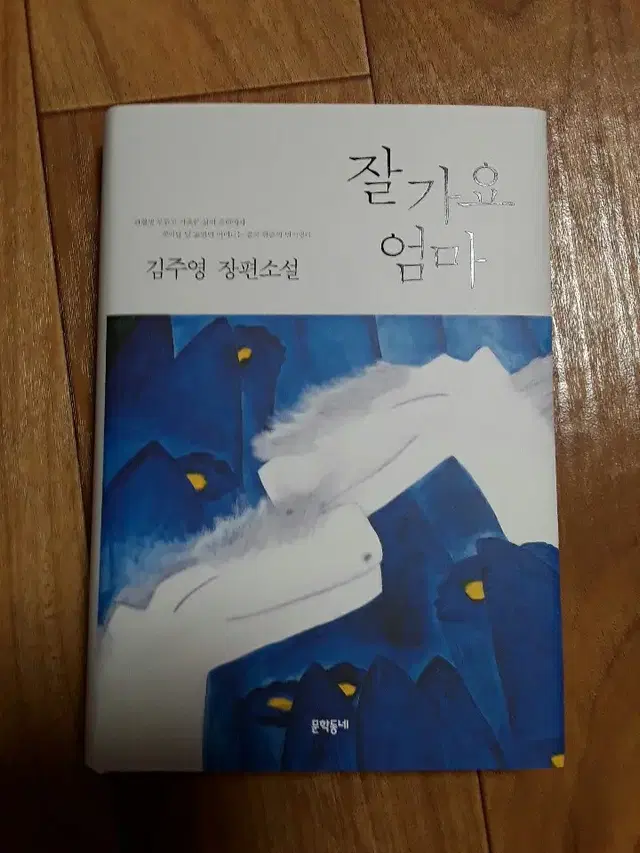 [도서] 잘가요 엄마