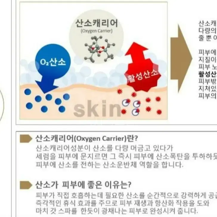 최저가/NEW 캐비올2 오투세럼 펩타이드 주름 에센스 미백 여드름