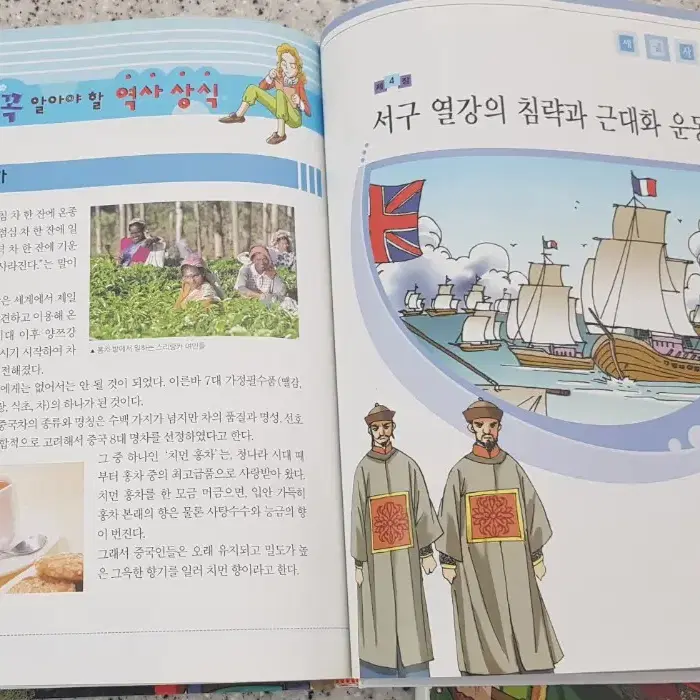 만화로 배우는 한국사,세계사