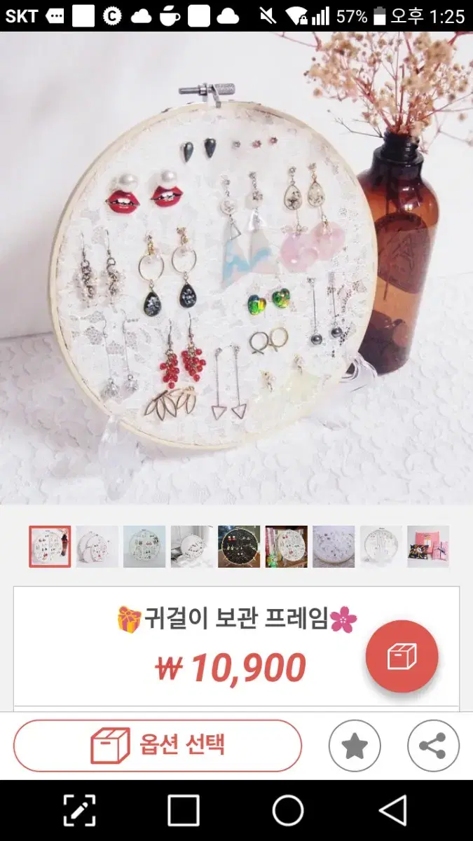 Earring storage frame