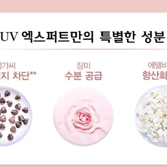 랑콤 UV엑스퍼트 자외선 차단제 50ml