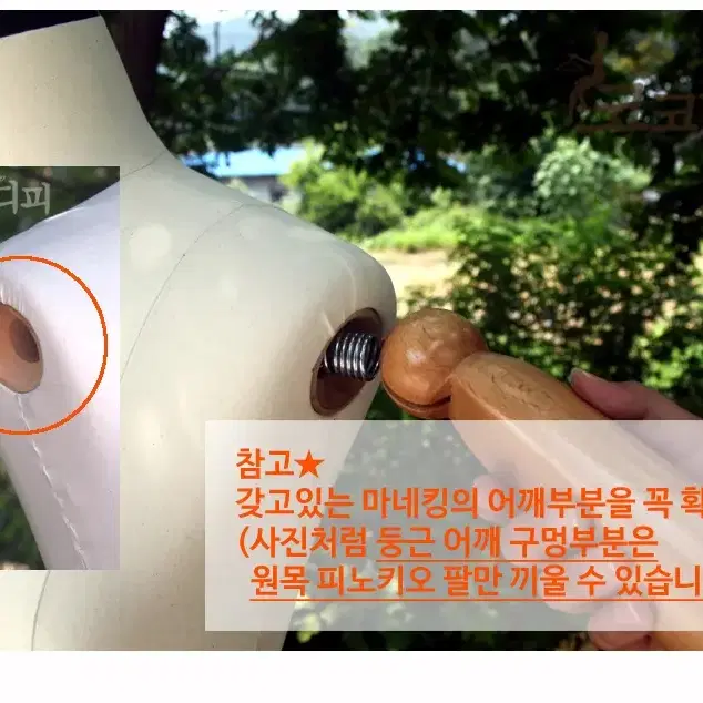 단품 플라스틱 피노키오팔 여성용, 남성용 마네킹 관절 마네킨