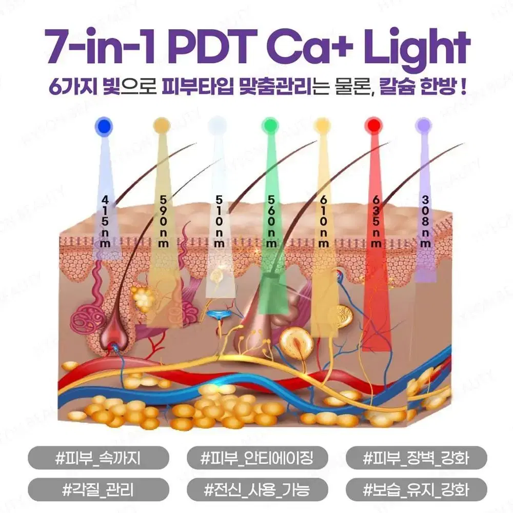 셀럭시 오로라 컬러라이트 PDT LED 피부관리 통증완화 예민진정 모공수