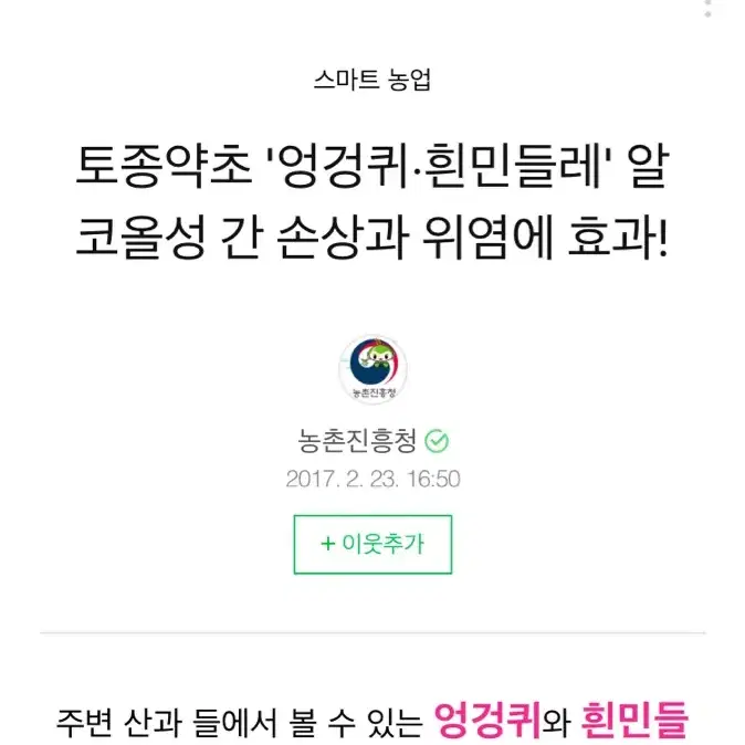 위염. 간손상에 특효. 엉겅퀴 흰민들레 즙 판매.