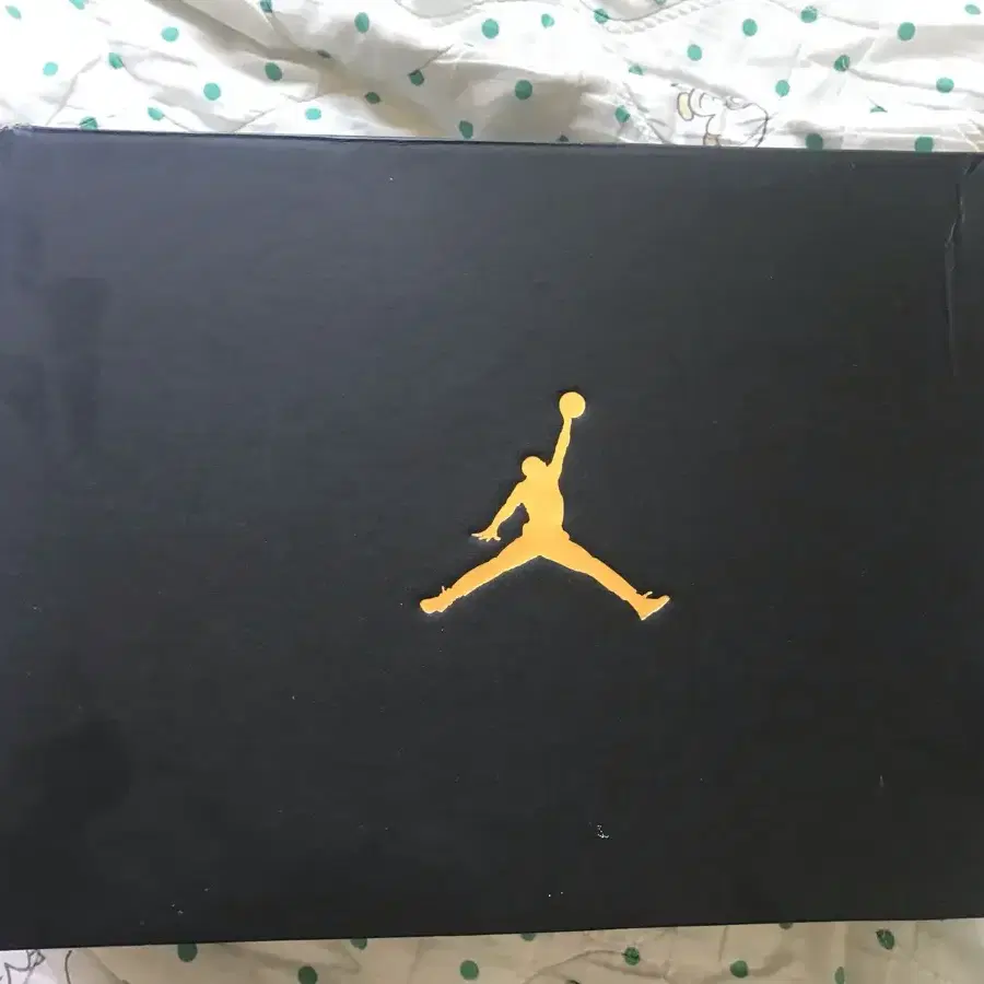 나이키 Jordan 5 AM (807546 603)  세제품팝니다