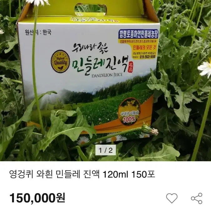 손상된 간과 위염에 좋은 하얀민들레 엉겅퀴 즙 100%