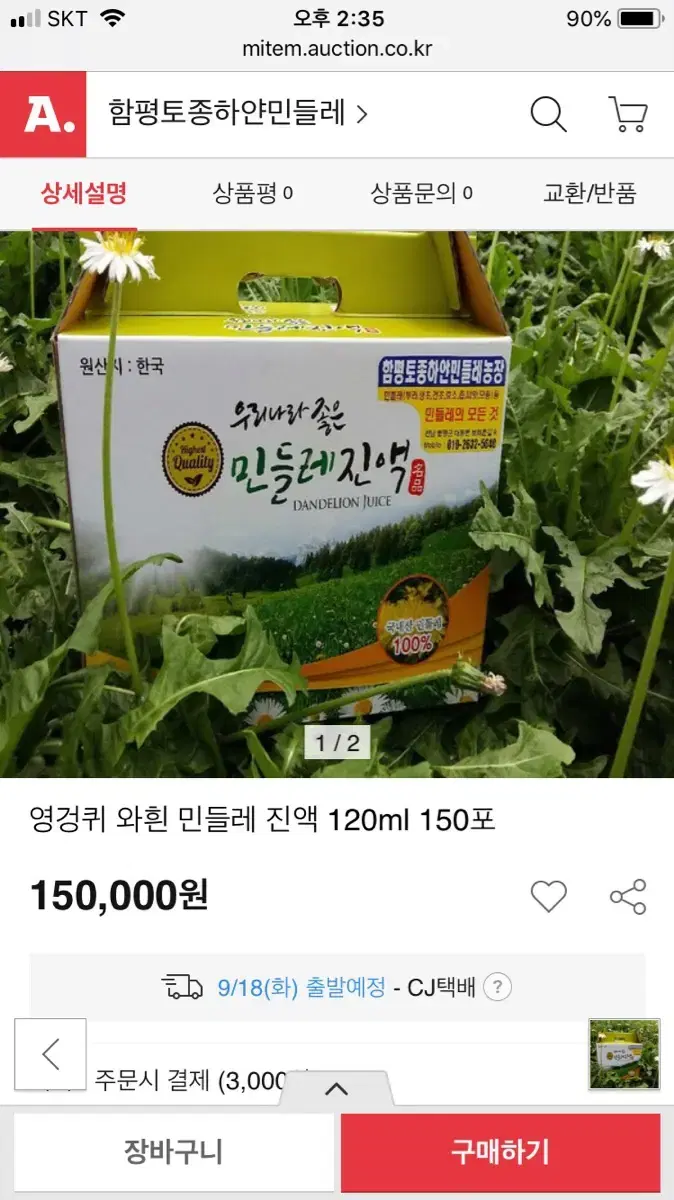 손상된 간과 위염에 좋은 하얀민들레 엉겅퀴 즙 100%