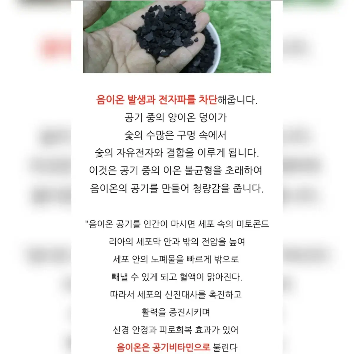 공기청정 활성탄이 들어있는 선인장인형