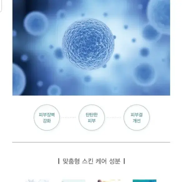 ●피부과 /에스테틱화장품 닥터헤디슨펩타이드앰플