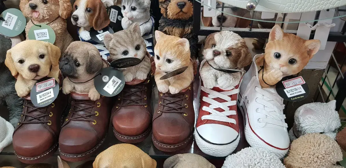 신발고양이♡강아지♡♡신상