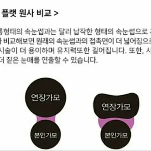 래쉬홀릭 에어(플랫모/납작모)