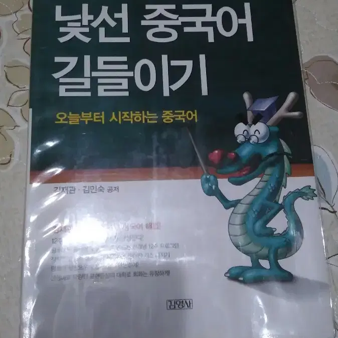 낯선 중국어 길들이기 도서