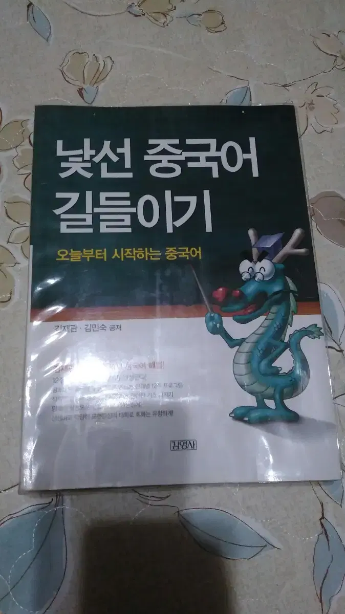 낯선 중국어 길들이기 도서