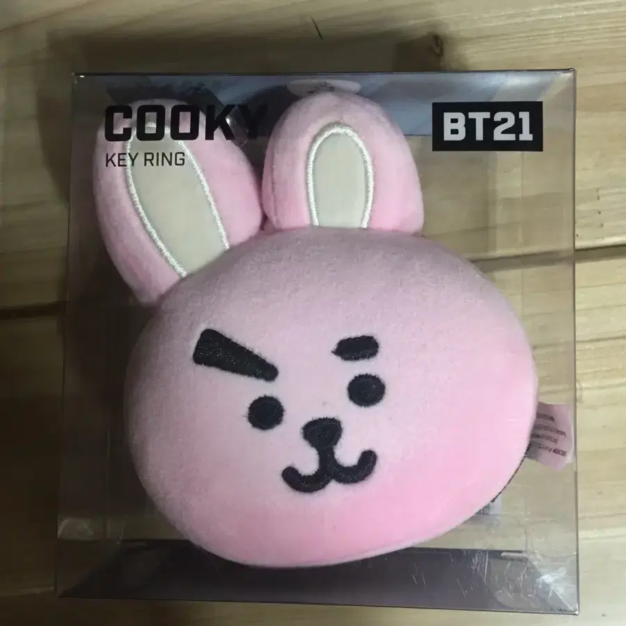 bt21 백참