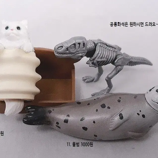 고양이 물범 가챠