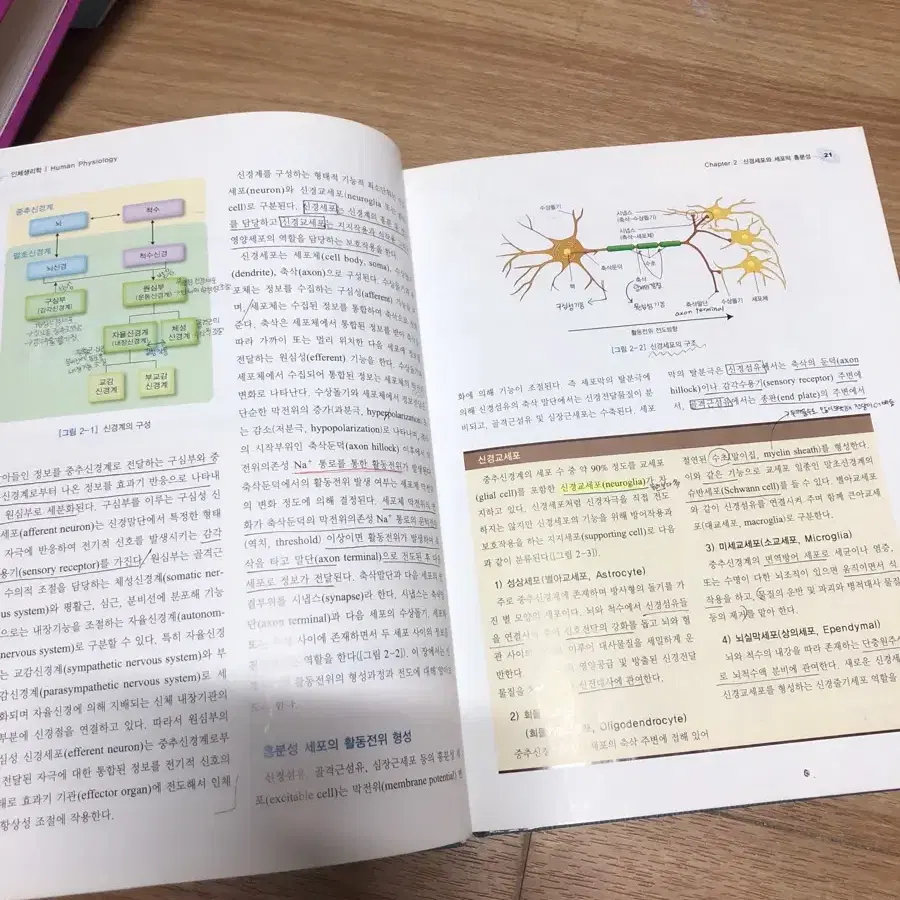 인체생리학 고문사