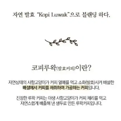 인도네시아 루와리치 루왁커피 [드립백/5개입] 발효원두 고양이똥커피