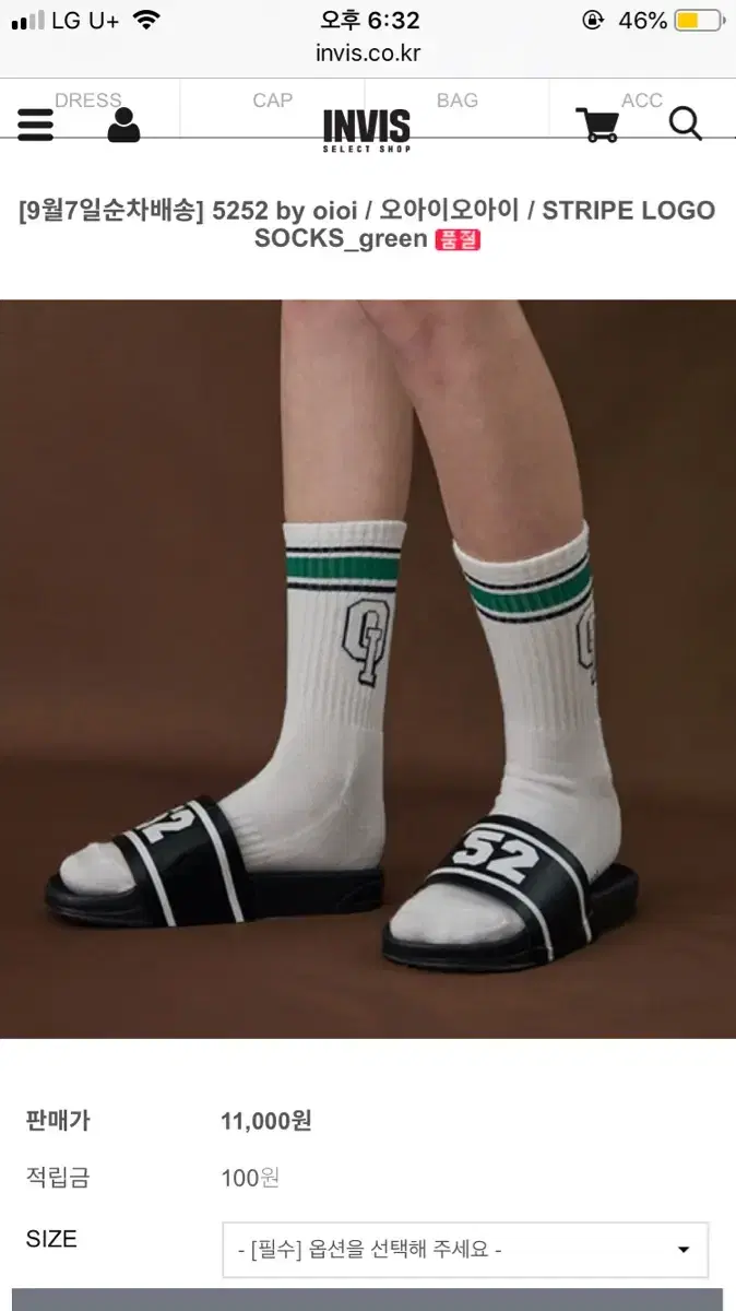 oioi stripe logo socks 스트라이프 양말