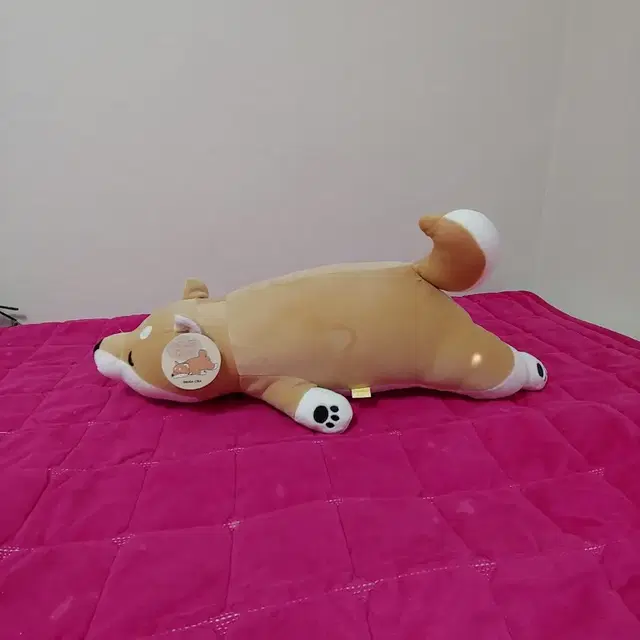 인형