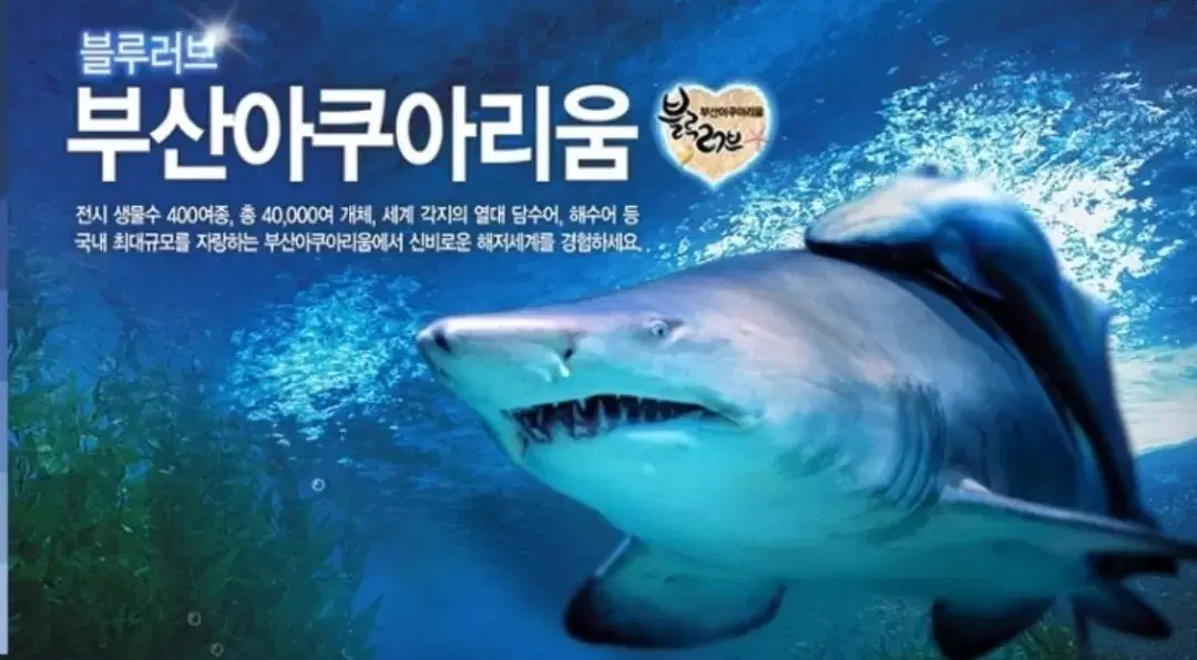 Busan Aquarium Mobile Admission Ticket