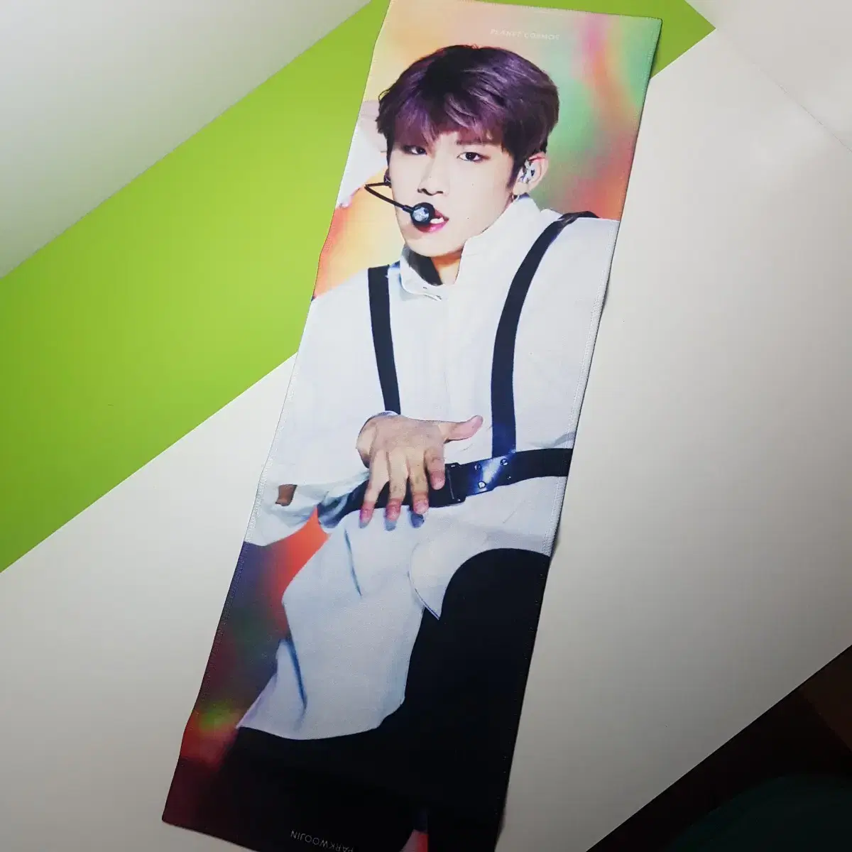 Park Woojin Harness Slogan