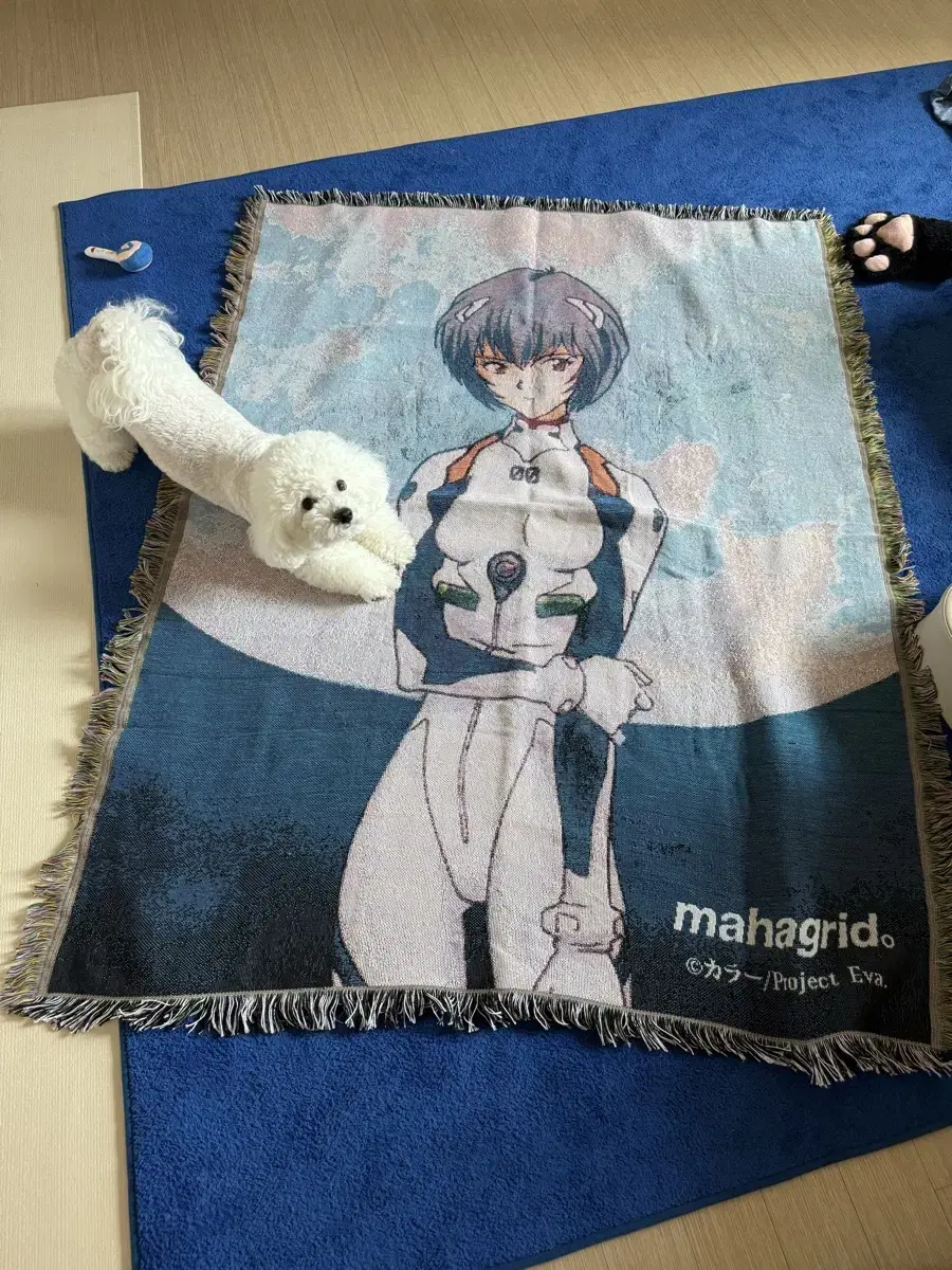 구매)아도이ADOY LP(옥승철)CATNIP VIVID LOVE삽니다 | 브랜드