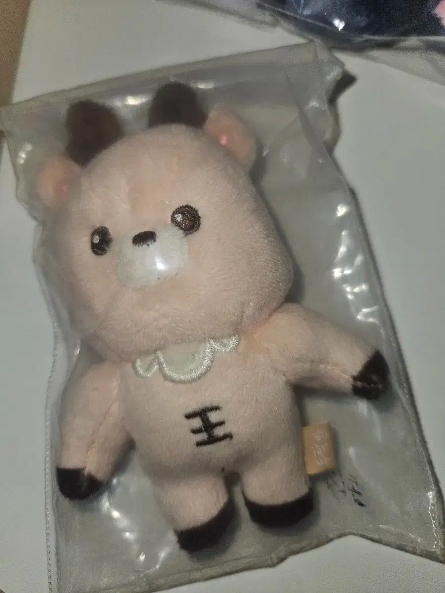 제베원 리플로우 앨범 분철 리키 김태래 석매튜 김지웅 | 브랜드 중고거래 플랫폼, 번개장터